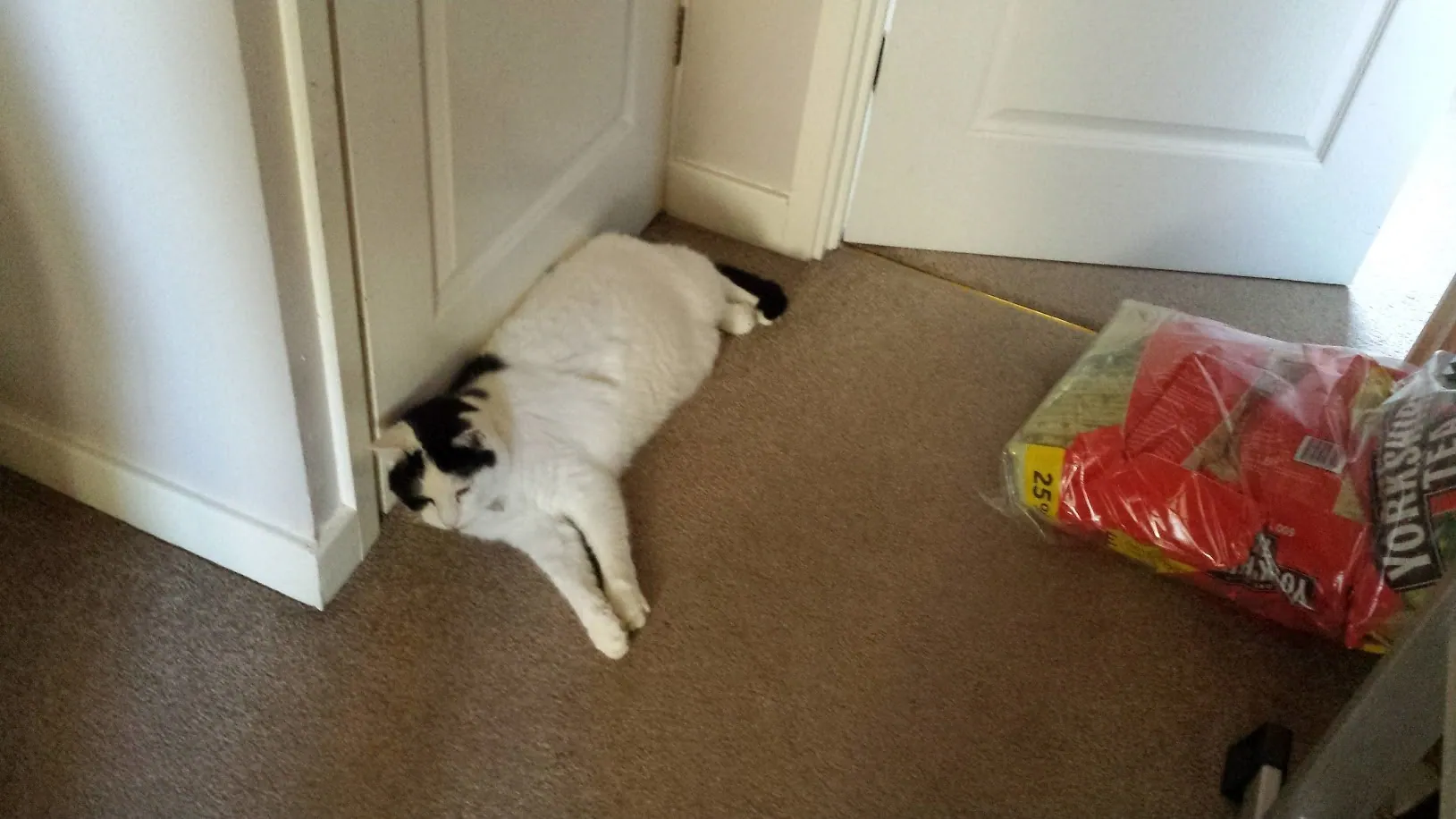 J14 marshall contented   14 oct 2017 (1)